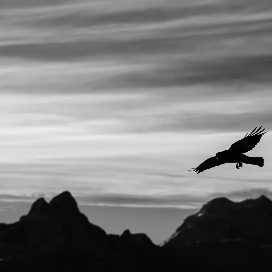 B Long 1086 Enhanced NR